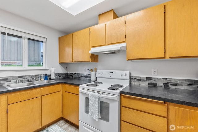 60 E Treewater Pl, Shelton, WA 98584 - kitchen with electric range, under cabinet range hood, a sink, and dark countertops