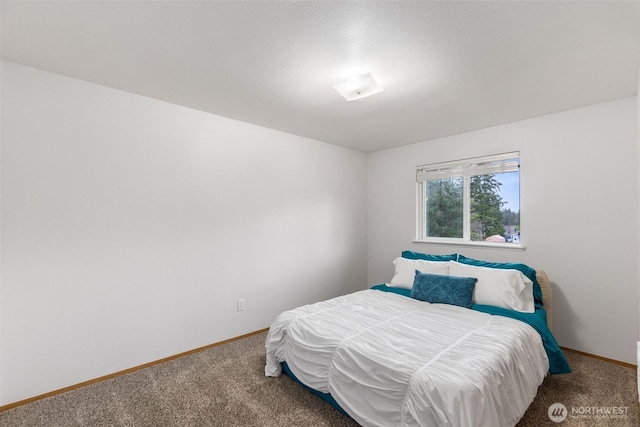 60 E Treewater Pl, Shelton, WA 98584 - bedroom featuring carpet and baseboards