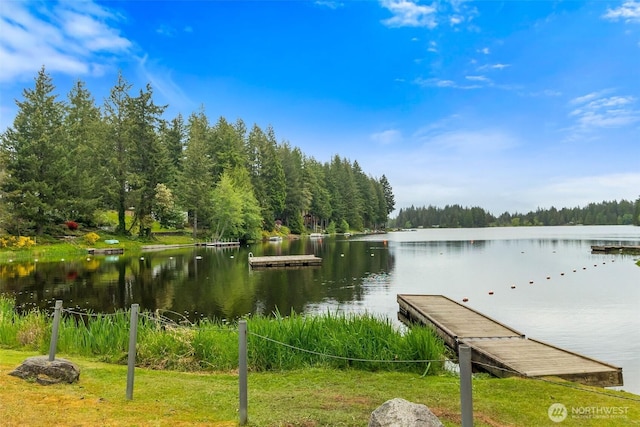 60 E Treewater Pl, Shelton, WA 98584 - water view featuring a forest and a boat dock