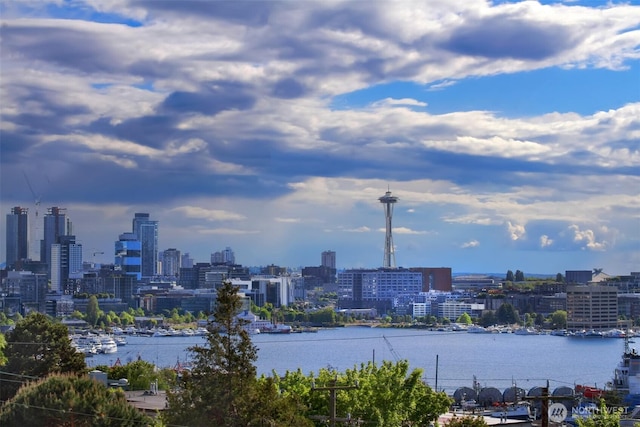 view of city with a large body of water