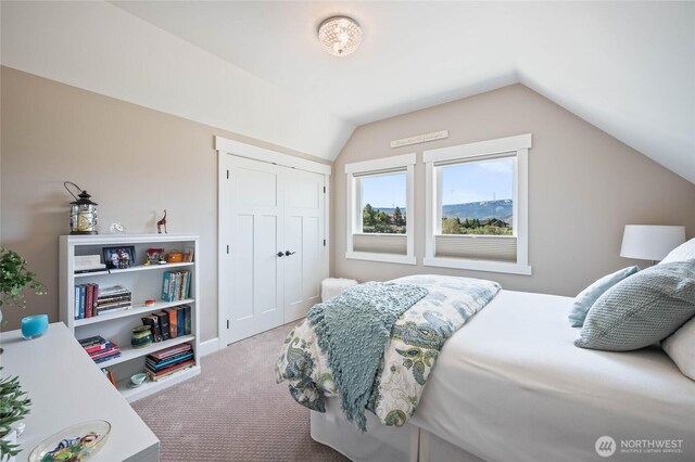 719 19th St NE, East Wenatchee, WA 98802 - bedroom featuring carpet flooring, lofted ceiling, and a closet
