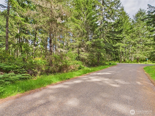 10915 Maple Pl, Anderson Island, WA 98303