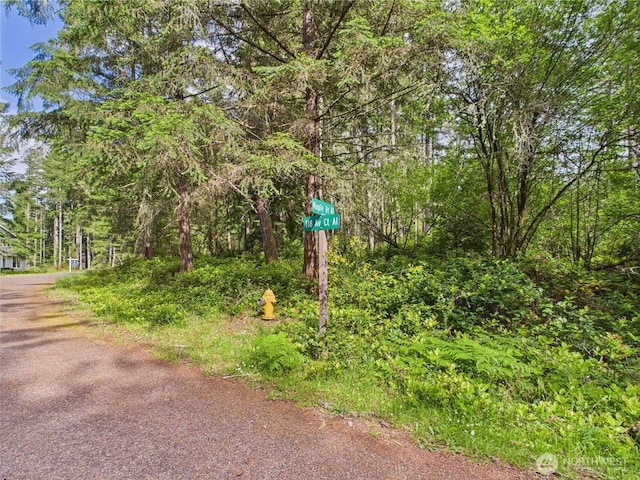 10915 Maple Pl, Anderson Island, WA 98303