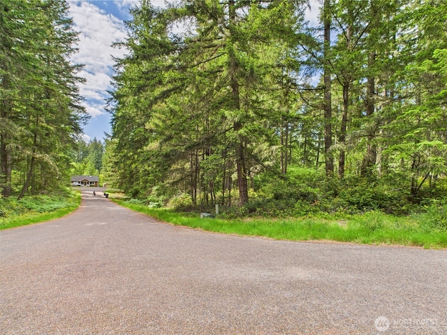 10915 Maple Pl, Anderson Island, WA 98303