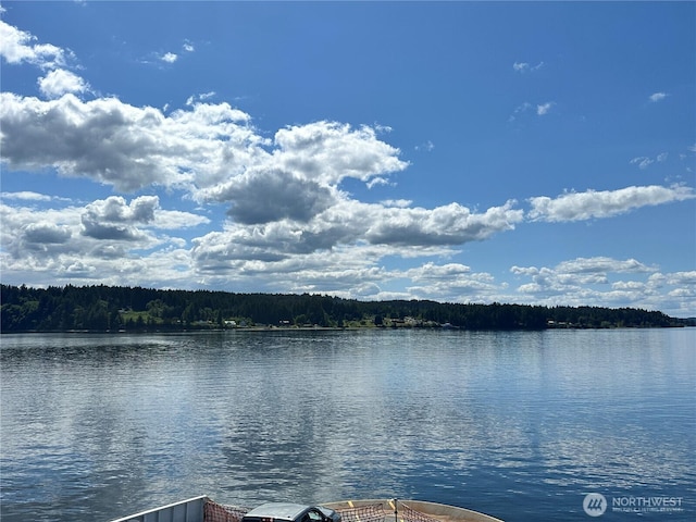 10915 Maple Pl, Anderson Island, WA 98303
