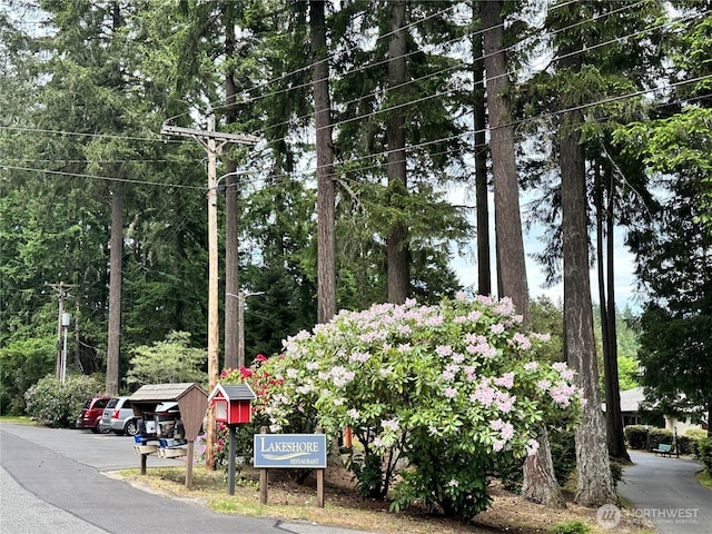 10915 Maple Pl, Anderson Island, WA 98303