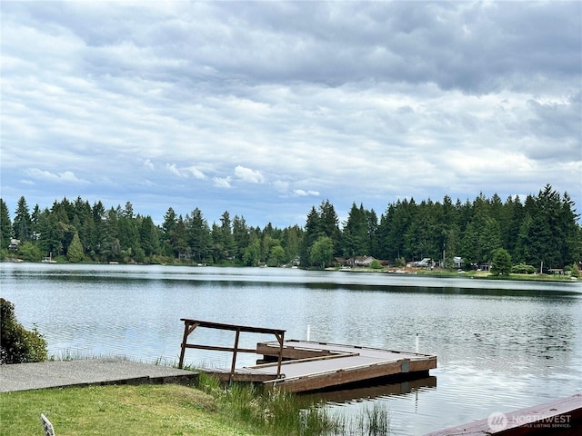 10915 Maple Pl, Anderson Island, WA 98303