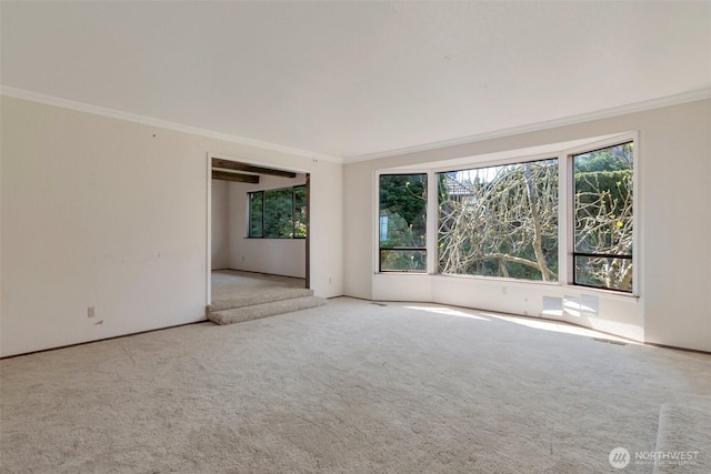 carpeted spare room with ornamental molding, healthy amount of natural light, and baseboards