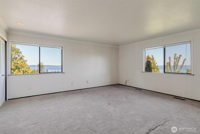 carpeted spare room featuring plenty of natural light, crown molding, and baseboards