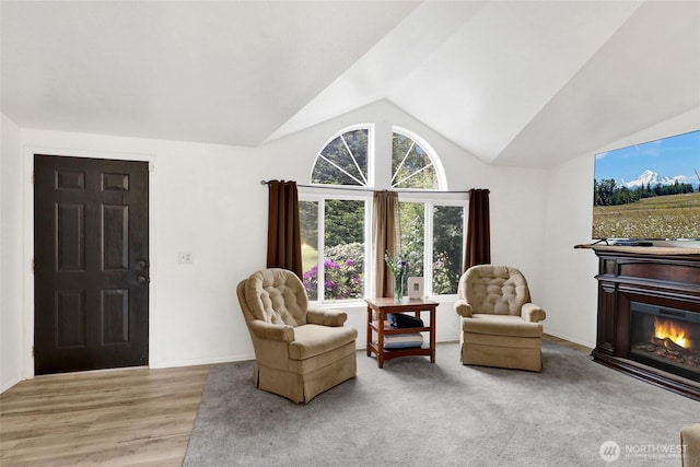 7135 W 40th Dr, Ferndale, WA 98248 - living area with lofted ceiling, a glass covered fireplace, and light wood-type flooring
