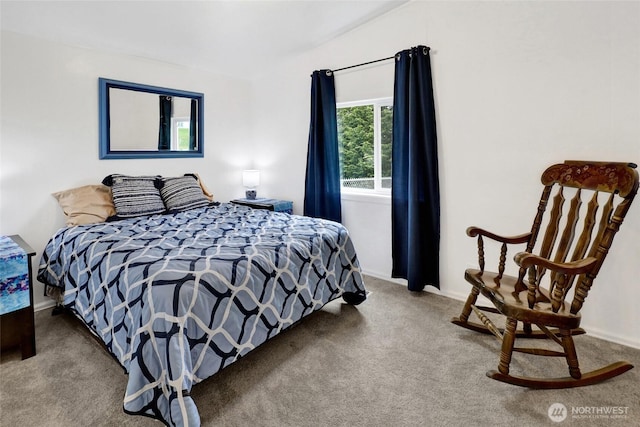 7135 W 40th Dr, Ferndale, WA 98248 - carpeted bedroom featuring baseboards