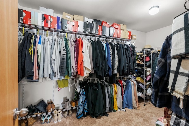 9604 201st Street Ct E, Graham, WA 98338 - walk in closet featuring carpet