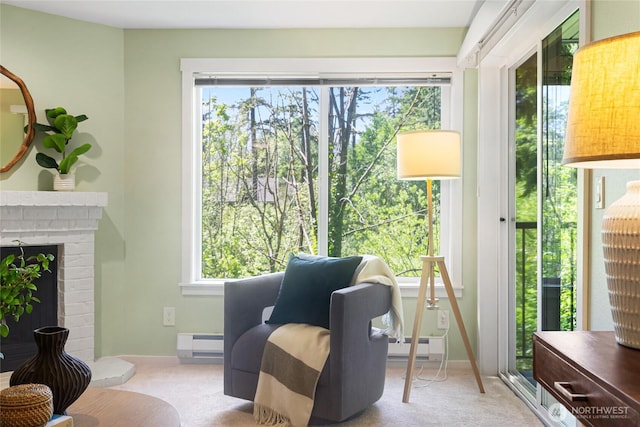 11307 NE 128th St Unit G204, Kirkland, WA 98034 - sitting room featuring baseboard heating, carpet floors, baseboards, and a fireplace