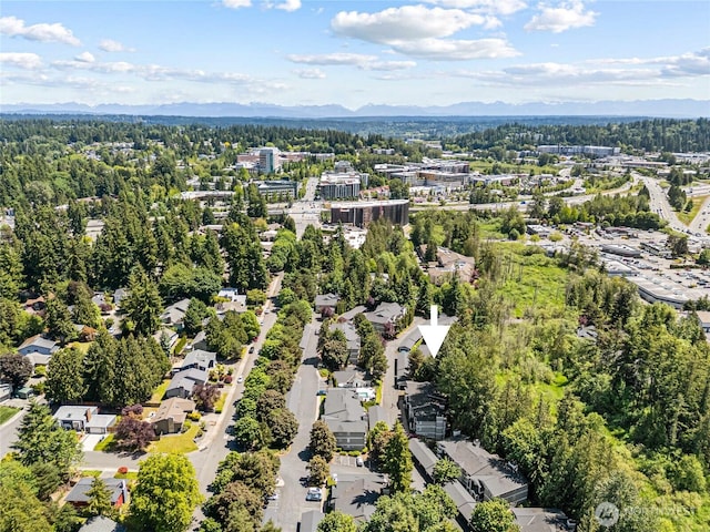 11307 NE 128th St Unit G204, Kirkland, WA 98034 - drone / aerial view of a mountainous background