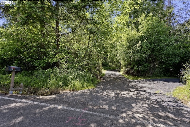 632 Meier Rd, Winlock, WA 98596 - view of street