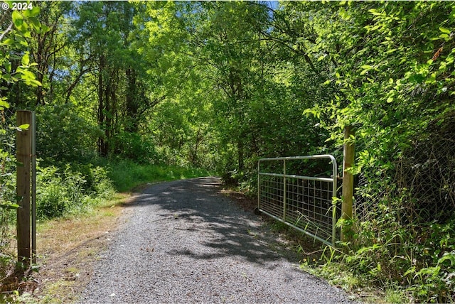 632 Meier Rd, Winlock, WA 98596 - view of dirt / gravel road featuring a gate, a view of trees, and a gated entry