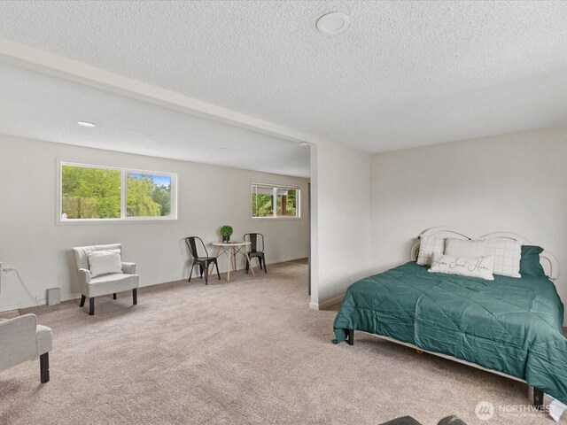 28611 139th Ave NE, Arlington, WA 98223 - bedroom with a textured ceiling, multiple windows, and carpet flooring