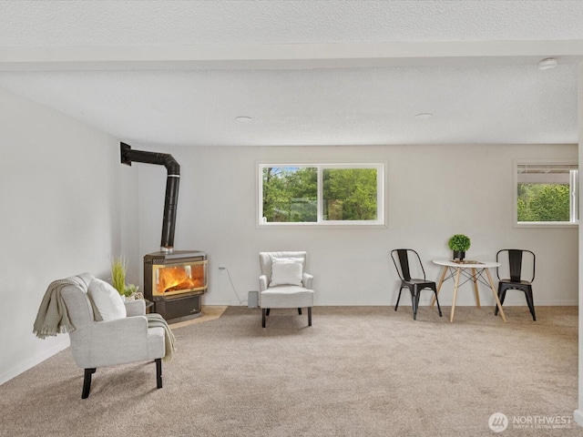 28611 139th Ave NE, Arlington, WA 98223 - sitting room with a wood stove and carpet flooring