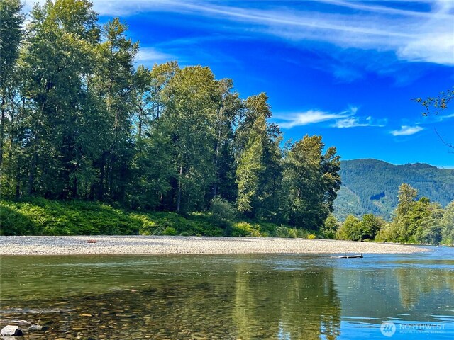28611 139th Ave NE, Arlington, WA 98223 - water view featuring a forest and a mountain backdrop