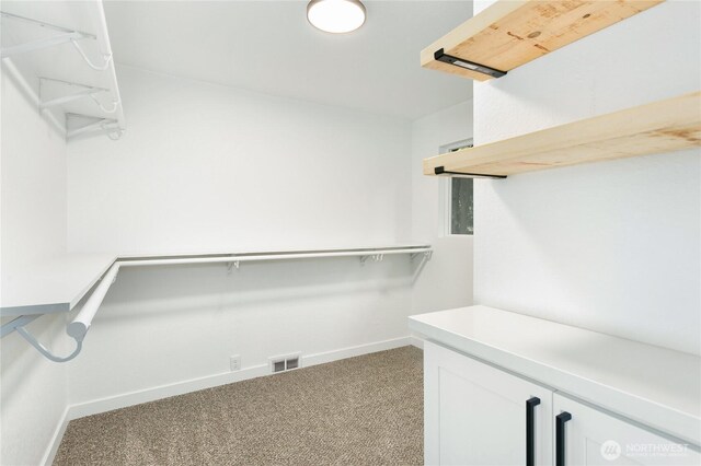 walk in closet featuring carpet flooring