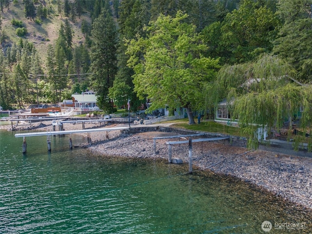 11194 S Lakeshore Rd, Chelan, WA 98816 - water view with a heavily wooded area
