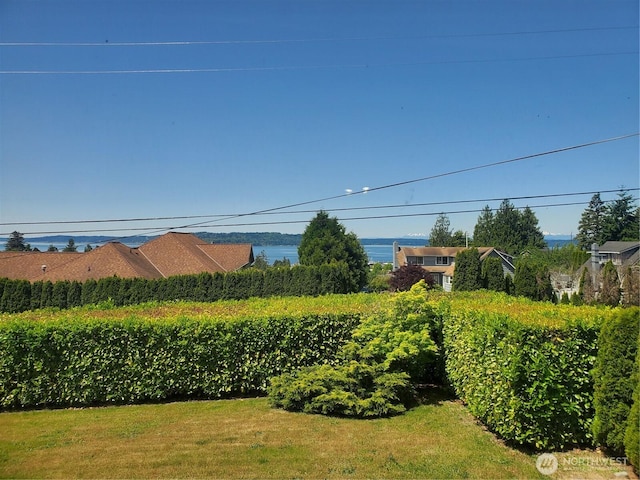 1204 S 229th St, Des Moines, WA 98198 - view of yard