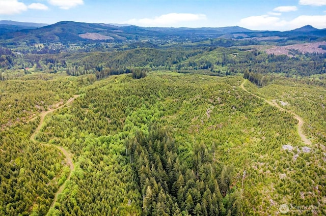 4 Parpala Rd Unit 4, Naselle, WA 98638