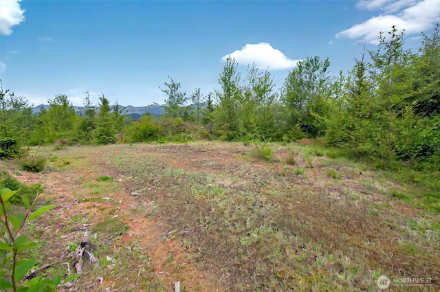 4 Parpala Rd Unit 4, Naselle, WA 98638