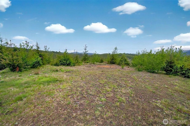 4 Parpala Rd Unit 4, Naselle, WA 98638