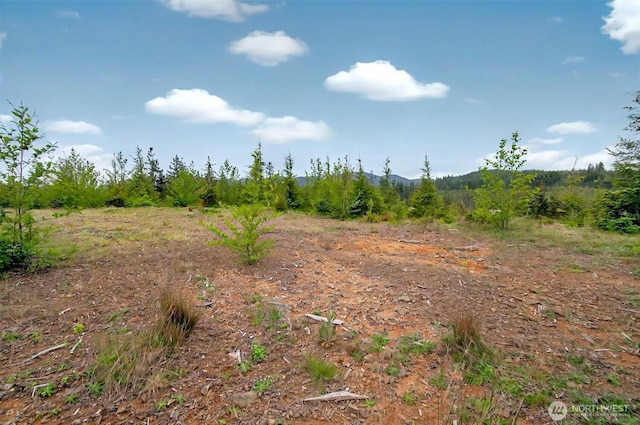 4 Parpala Rd Unit 4, Naselle, WA 98638