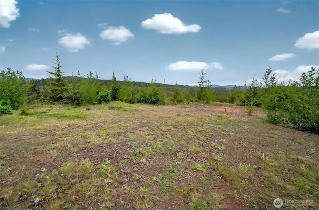 4 Parpala Rd Unit 4, Naselle, WA 98638
