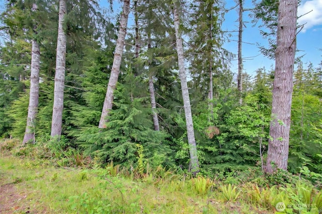 4 Parpala Rd Unit 4, Naselle, WA 98638