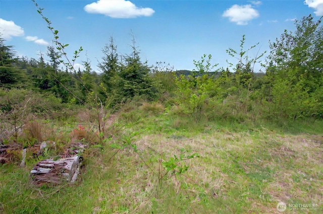 4 Parpala Rd Unit 4, Naselle, WA 98638