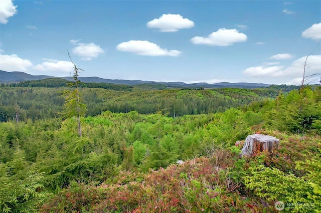 4 Parpala Rd Unit 4, Naselle, WA 98638