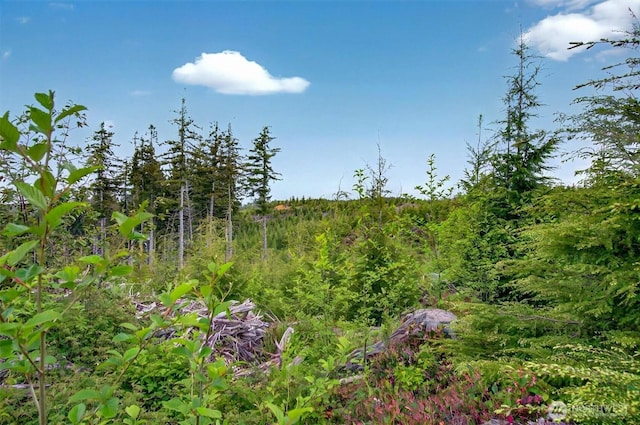 4 Parpala Rd Unit 4, Naselle, WA 98638