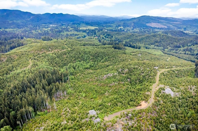 4 Parpala Rd Unit 4, Naselle, WA 98638