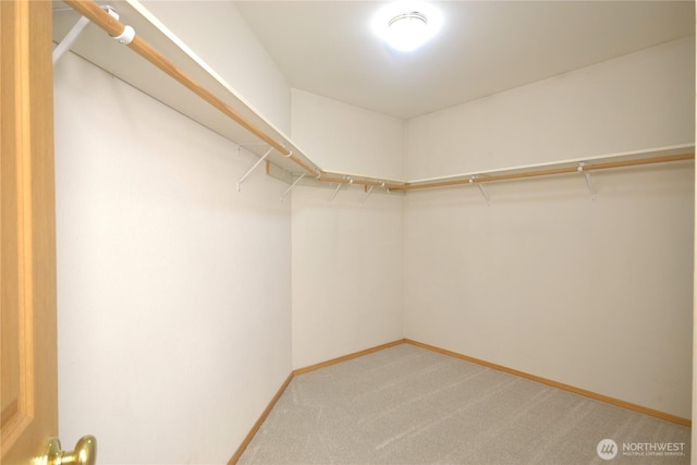 10415 Whitman Ave SW, Lakewood, WA 98499 - photo 30