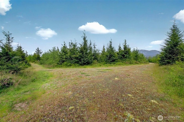 5 Parpala Rd Unit 5, Naselle, WA 98638
