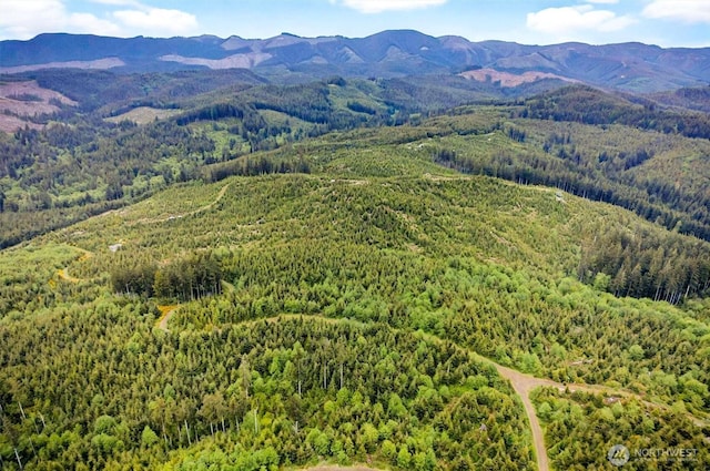 5 Parpala Rd Unit 5, Naselle, WA 98638