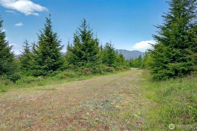 5 Parpala Rd Unit 5, Naselle, WA 98638