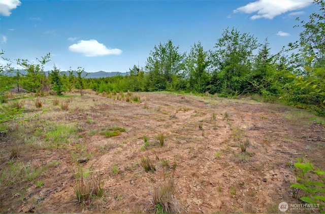 5 Parpala Rd Unit 5, Naselle, WA 98638
