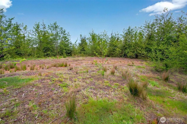 5 Parpala Rd Unit 5, Naselle, WA 98638