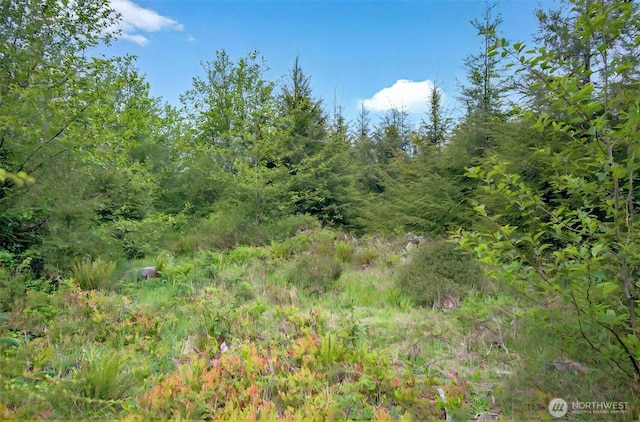 5 Parpala Rd Unit 5, Naselle, WA 98638