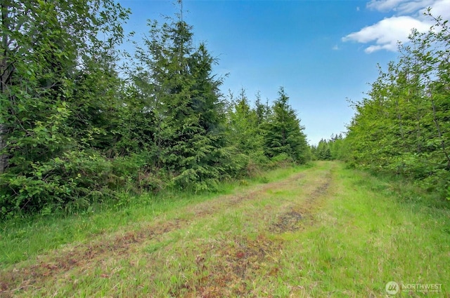 5 Parpala Rd Unit 5, Naselle, WA 98638