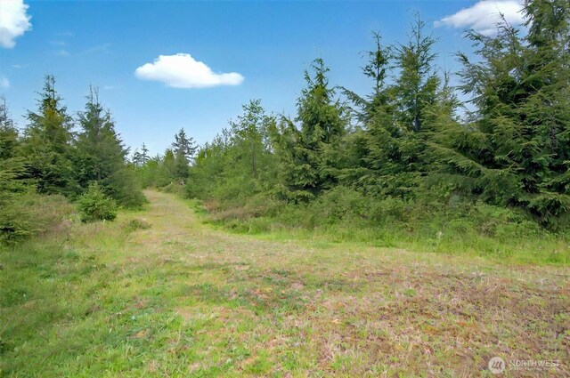 5 Parpala Rd Unit 5, Naselle, WA 98638