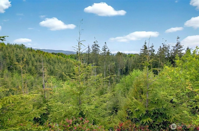 5 Parpala Rd Unit 5, Naselle, WA 98638