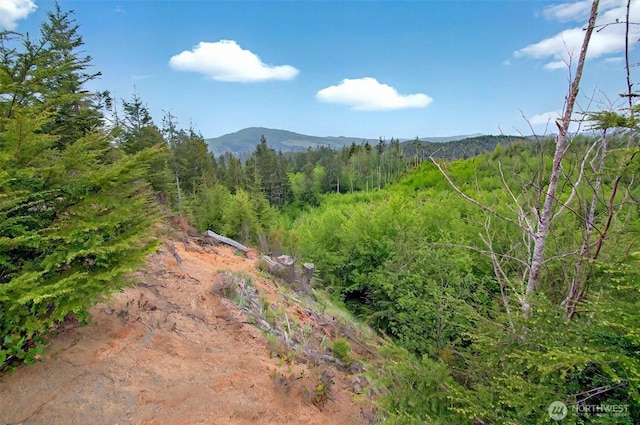 5 Parpala Rd Unit 5, Naselle, WA 98638