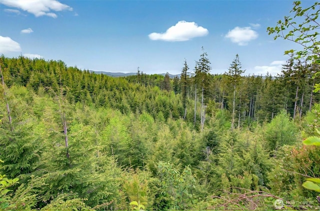 5 Parpala Rd Unit 5, Naselle, WA 98638