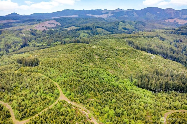5 Parpala Rd Unit 5, Naselle, WA 98638