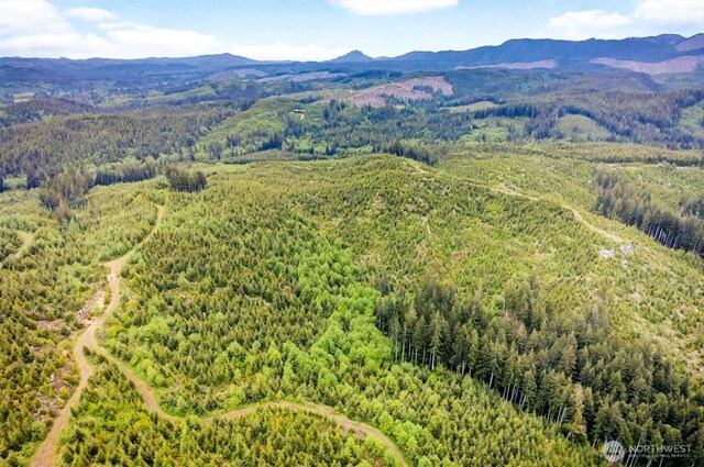 5 Parpala Rd Unit 5, Naselle, WA 98638